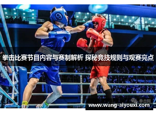 拳击比赛节目内容与赛制解析 探秘竞技规则与观赛亮点