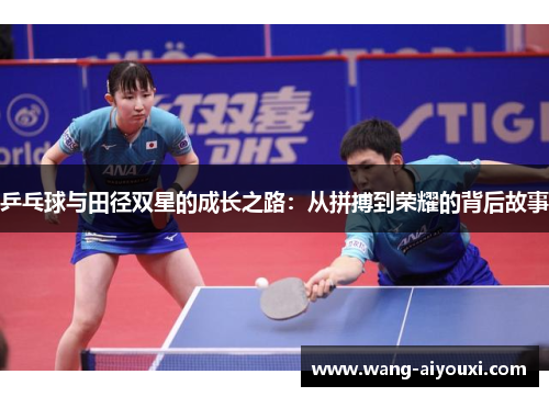 乒乓球与田径双星的成长之路：从拼搏到荣耀的背后故事