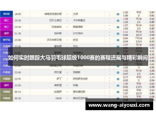 如何实时跟踪大马羽毛球超级1000赛的赛程进展与精彩瞬间